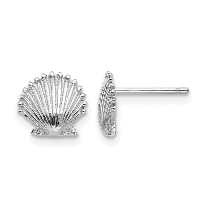 14K White Gold Scallop Shell Post Earrings, view 1 of 4