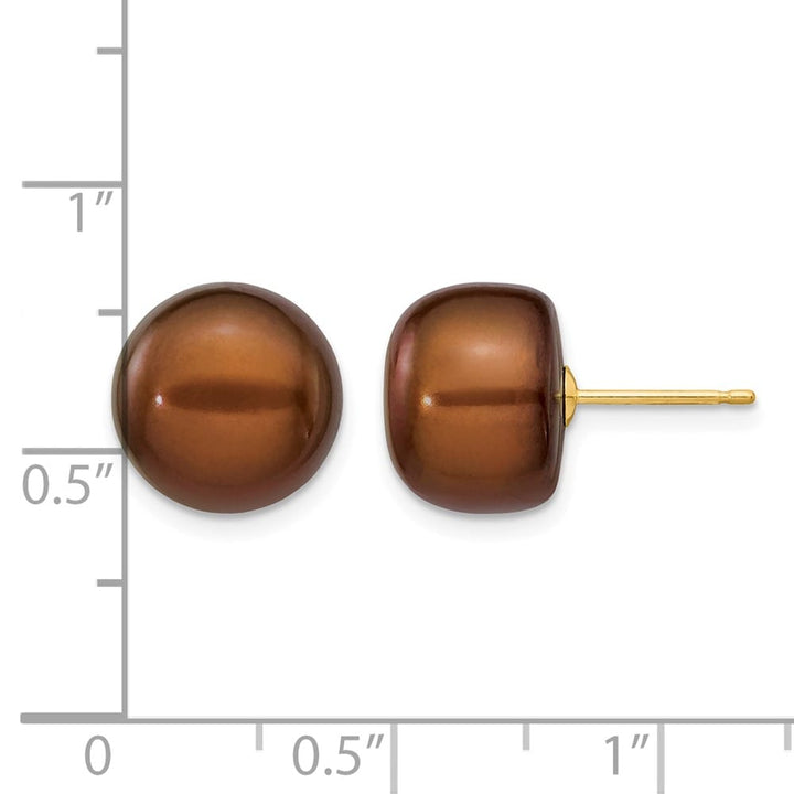 14K Yellow Gold 11-12mm Brown Button Freshwater Pearl Stud Earrings