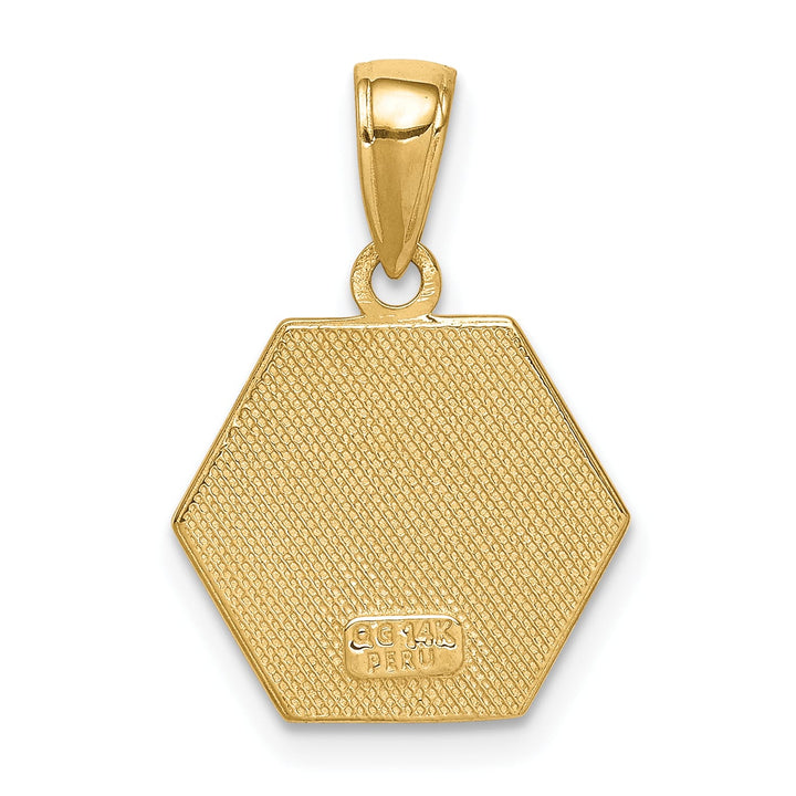 14K Yellow Gold 14mm Hexagon Enameled Back Medical Disc Pendant