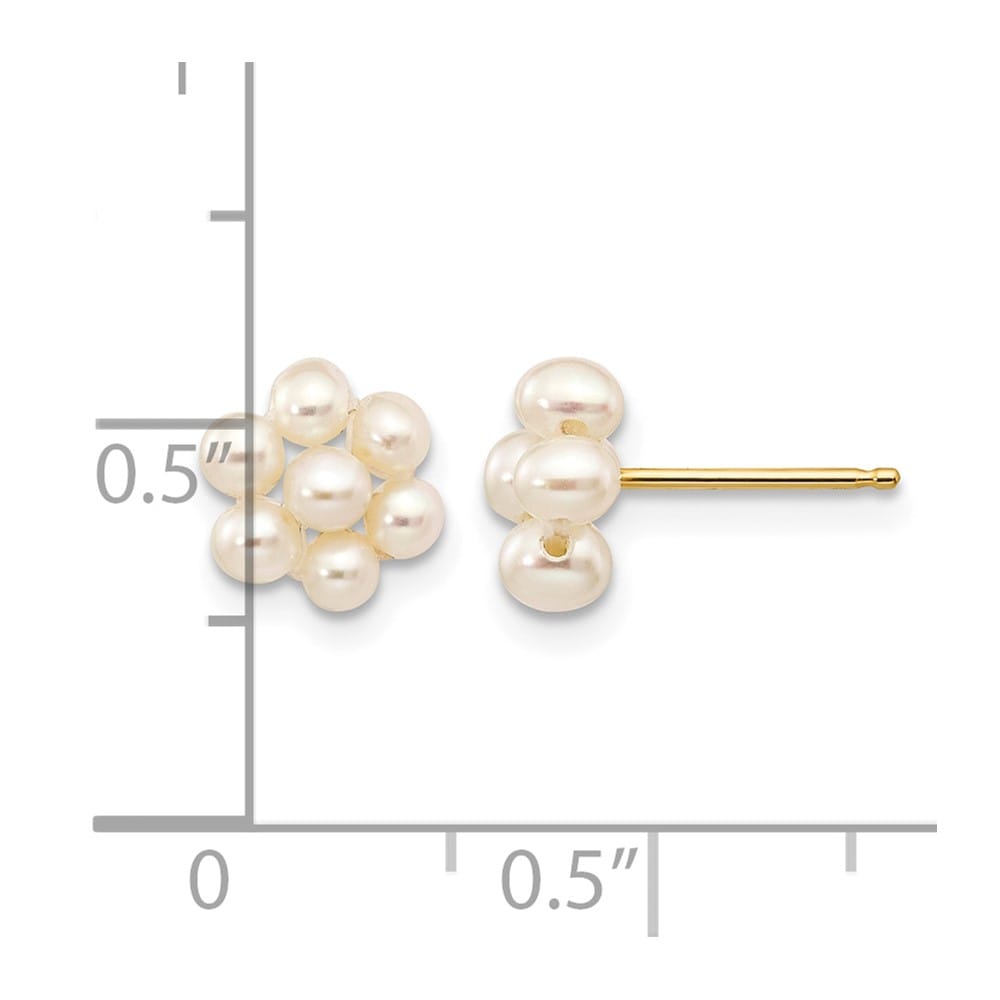 14K Yellow Gold 2-3mm White Egg-shape Freshwater Pearl Earrings