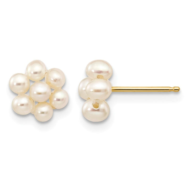 14K Yellow Gold 2-3mm White Egg-shape Freshwater Pearl Earrings