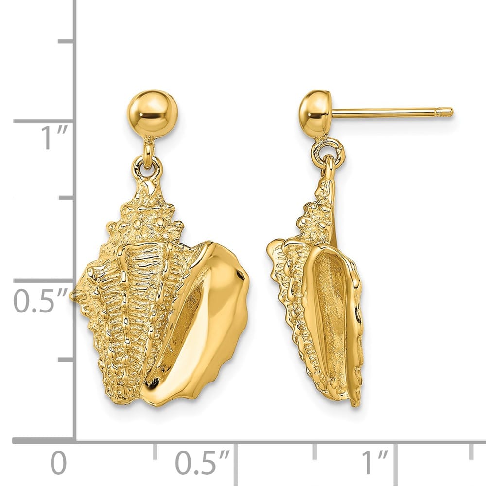 14K Yellow Gold 2-D Conch Shell Dangle Post Earrings, view 4 of 4