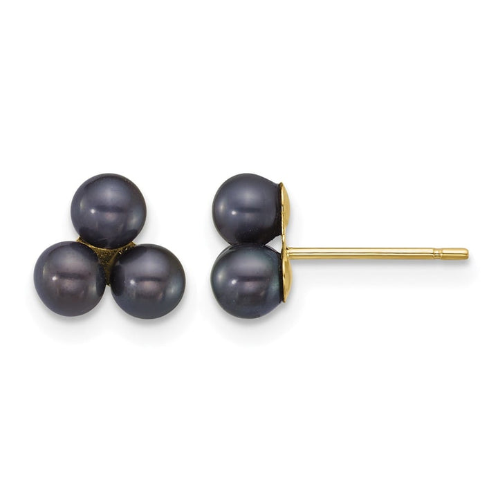 14K Yellow Gold 3-4mm Button Black Freshwater Cultured Earrings