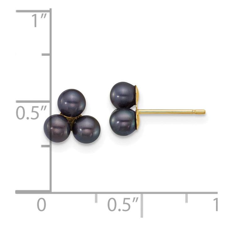 14K Yellow Gold 3-4mm Button Black Freshwater Cultured Earrings