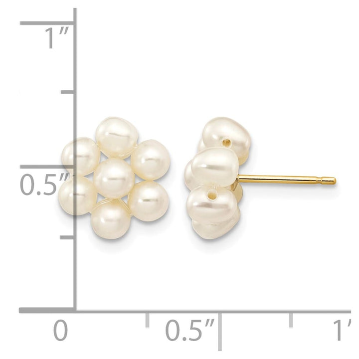 14K Yellow Gold 3-4mm White Egg-shape Freshwater Pearl Earrings