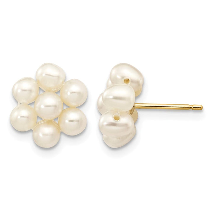 14K Yellow Gold 3-4mm White Egg-shape Freshwater Pearl Earrings