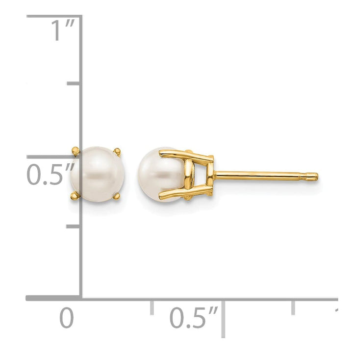 14K Yellow Gold 4.5mm Round June/Freshwater Pearl Post Earrings, view 4 of 4