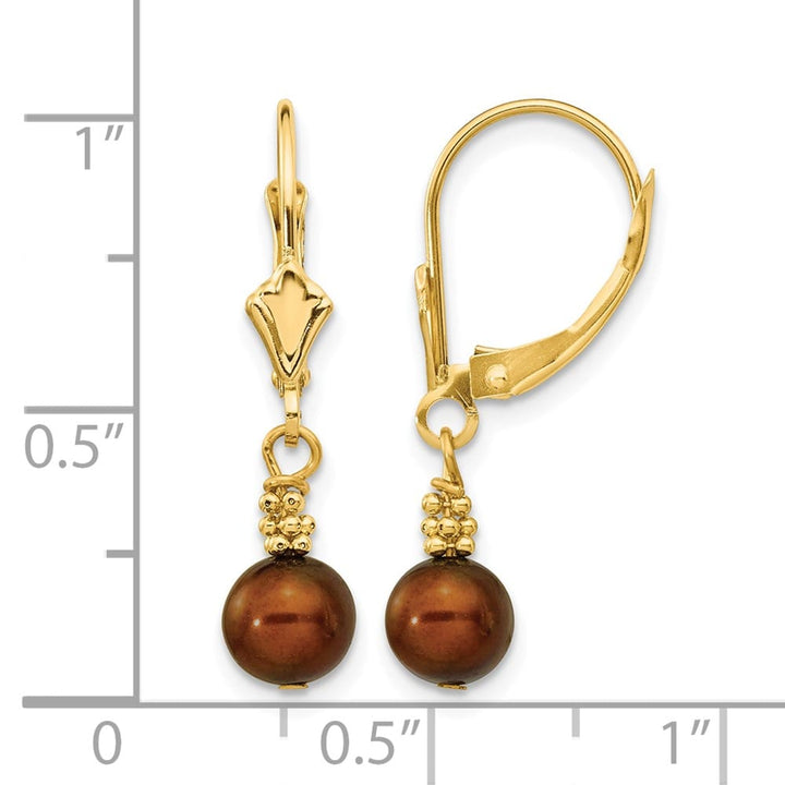 14K Yellow Gold 5-6mm Brown Semi-round Freshwater Pearl Earrings