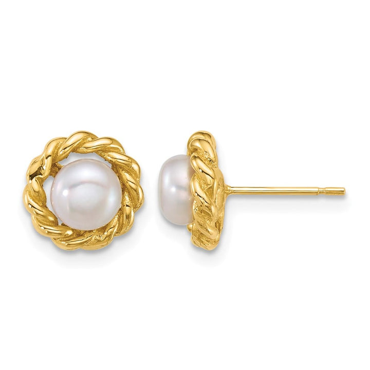 14K Yellow Gold 5-6mm Button White Freshwater Pearl Twisted Earrings