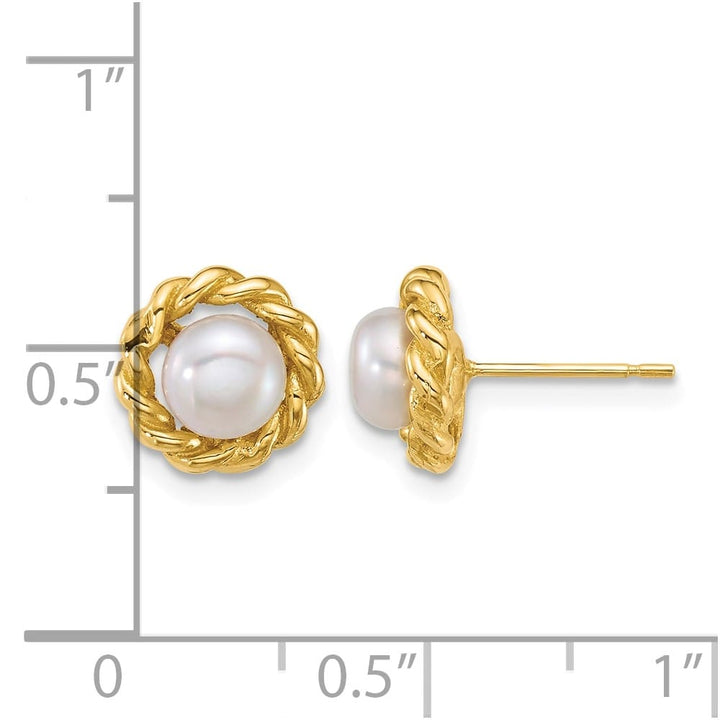 14K Yellow Gold 5-6mm Button White Freshwater Pearl Twisted Earrings