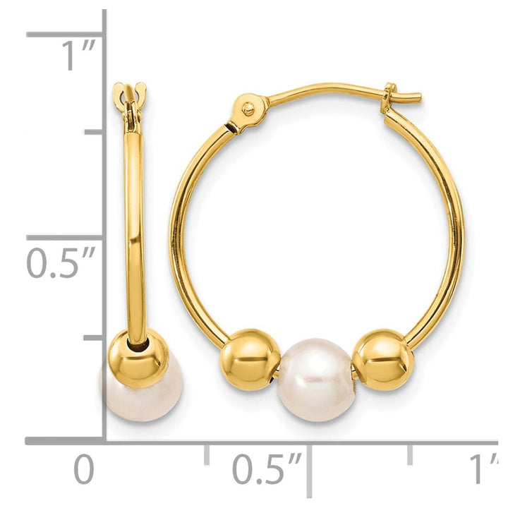 14K Yellow Gold 5-6mm White Semi-round Freshwater Pearl and Earring