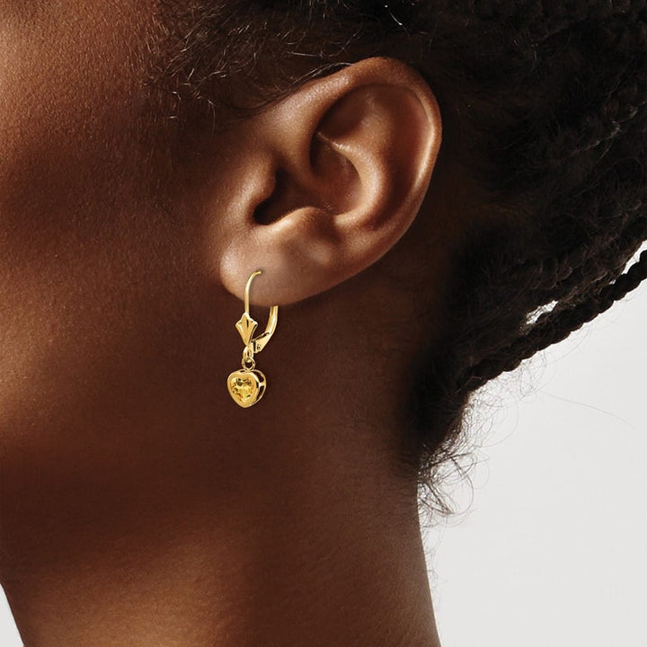 14K Yellow Gold 5mm Heart Bezel Leverback Dangle Earrings, view 11 of 16