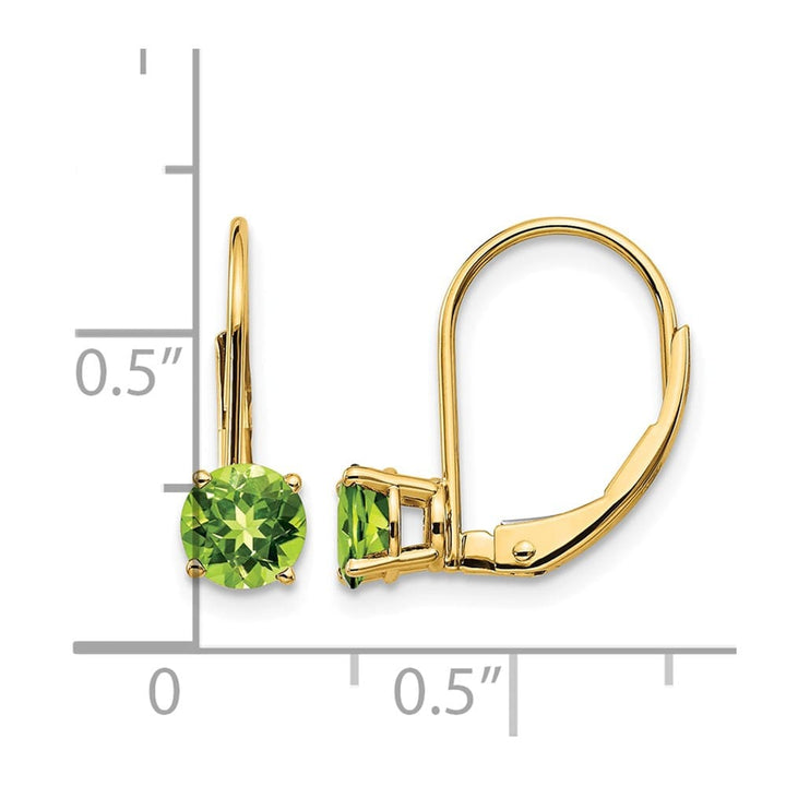 14K Yellow Gold 5mm Round Leverback Earrings, view 8 of 20