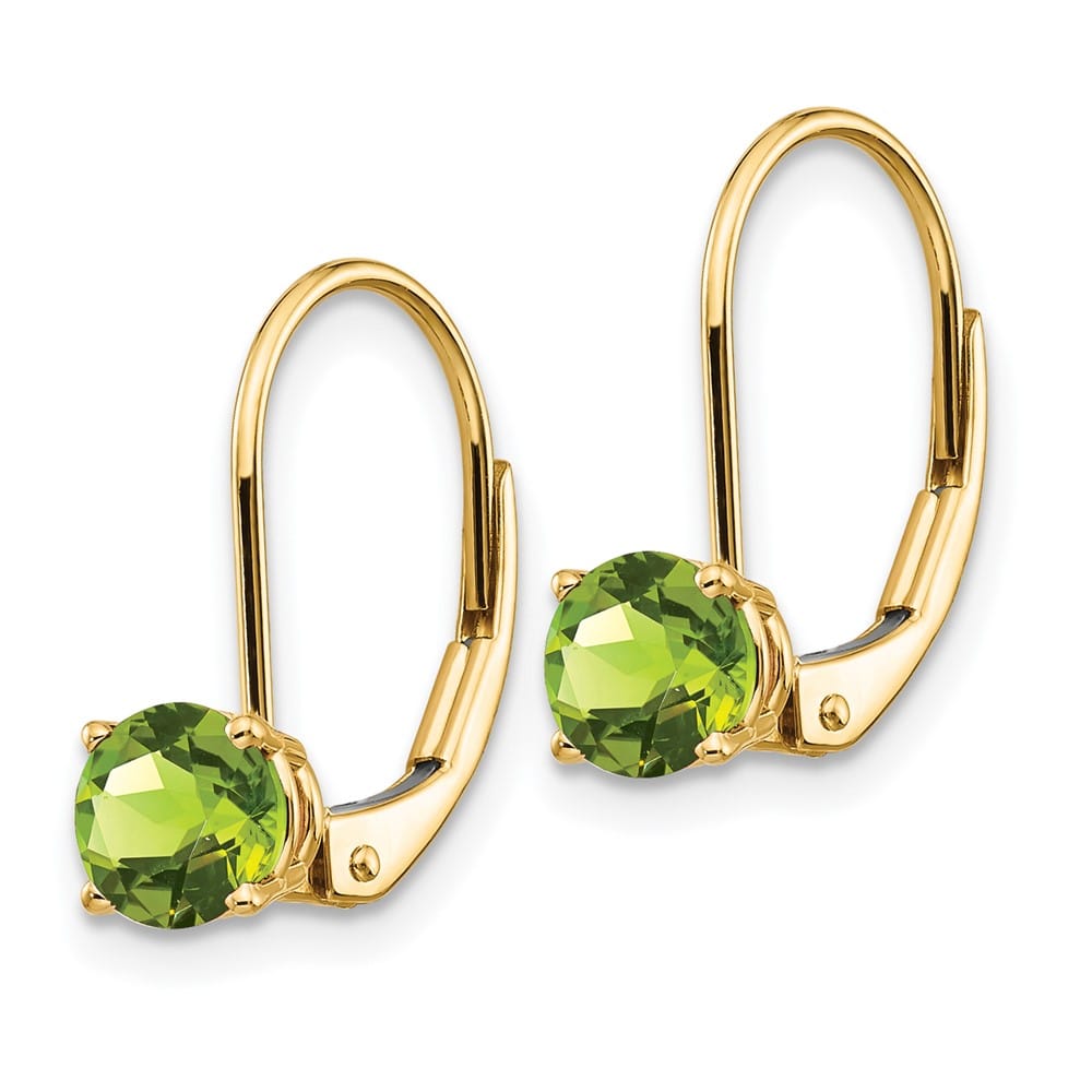 14K Yellow Gold 5mm Round Leverback Earrings, view 6 of 20