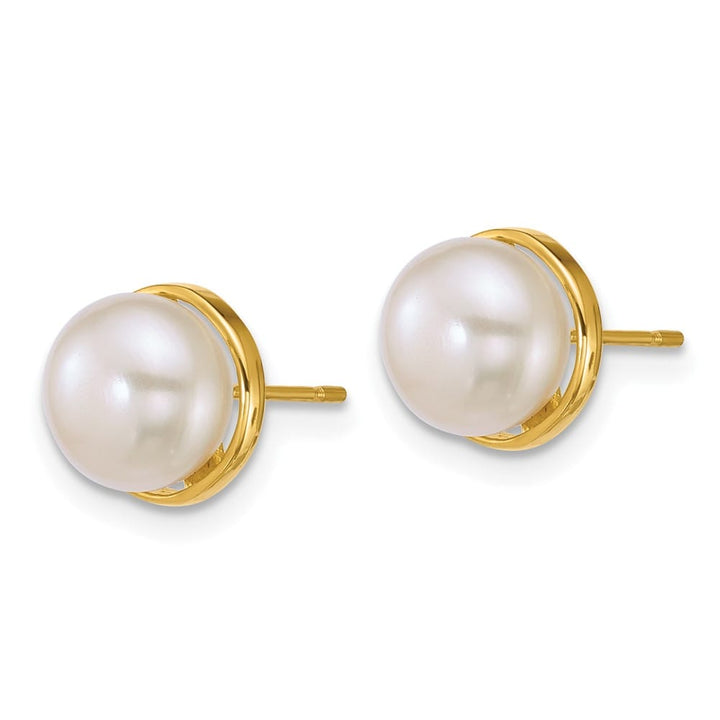14K Yellow Gold 7-8mm Button White Freshwater Pearl Post Earrings