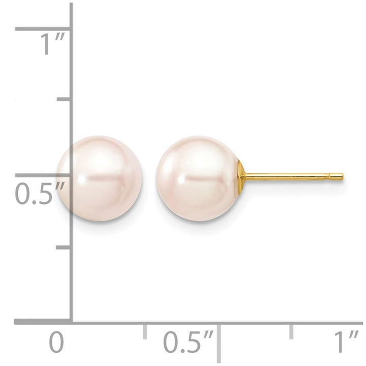 14K Yellow Gold 7-8mm White Round Saltwater Pearl Stud Post Earrings, view 4 of 4
