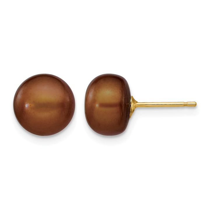 14K Yellow Gold 8-9mm Brown Button Freshwater Pearl Stud Post Earrings