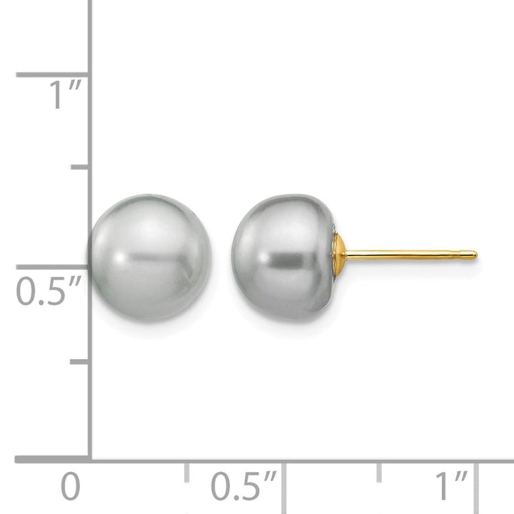 14K Yellow Gold 8-9mm Grey Button Freshwater Pearl Stud Post Earrings