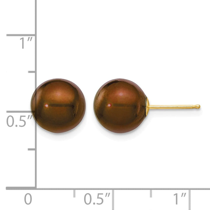 14K Yellow Gold 9-10mm Brown Round Freshwater Pearl Stud Post Earrings, view 4 of 4