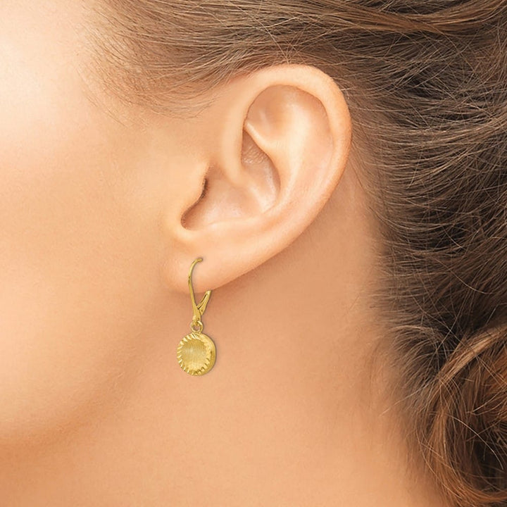 14K Yellow Gold Brushed and D.C. Circle Dangle Leverback Earrings, view 3 of 5