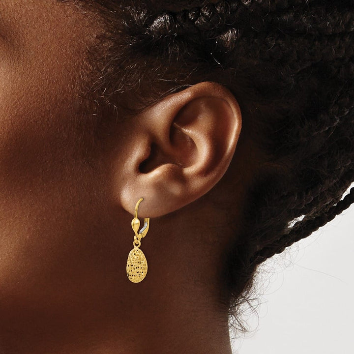 14K Yellow Gold D.C. Satin Puffed Oval Dangle Leverback Earrings, view 3 of 4