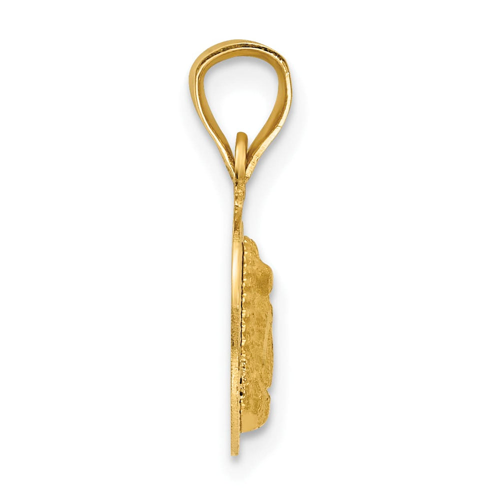 14K Yellow Gold D.C. Semi-solid Our Lady Of Guadalupe Round Pendant