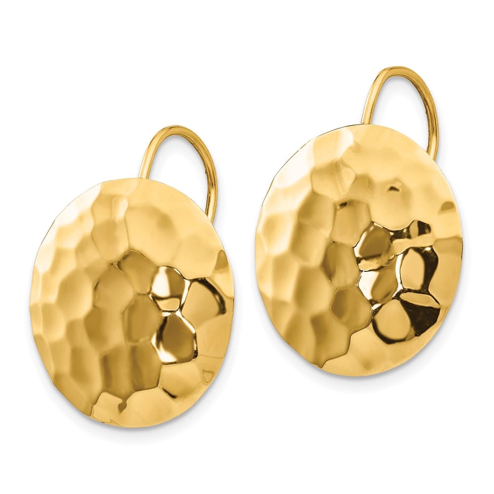 14K Yellow Gold Hammered 18mm Circle Disc Kidney Wire Earrings, view 2 of 4