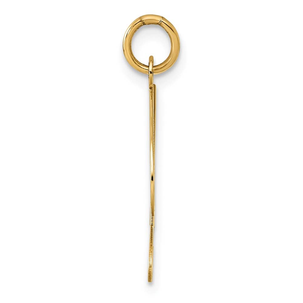 14K Yellow Gold Large Size Fancy Script Letter D Initial Charm Pendant
