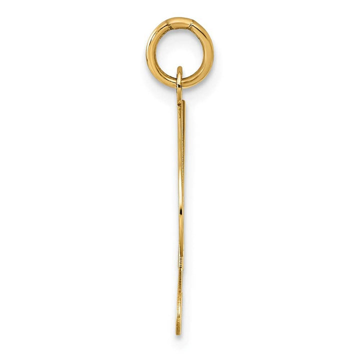 14K Yellow Gold Large Size Fancy Script Letter D Initial Charm Pendant