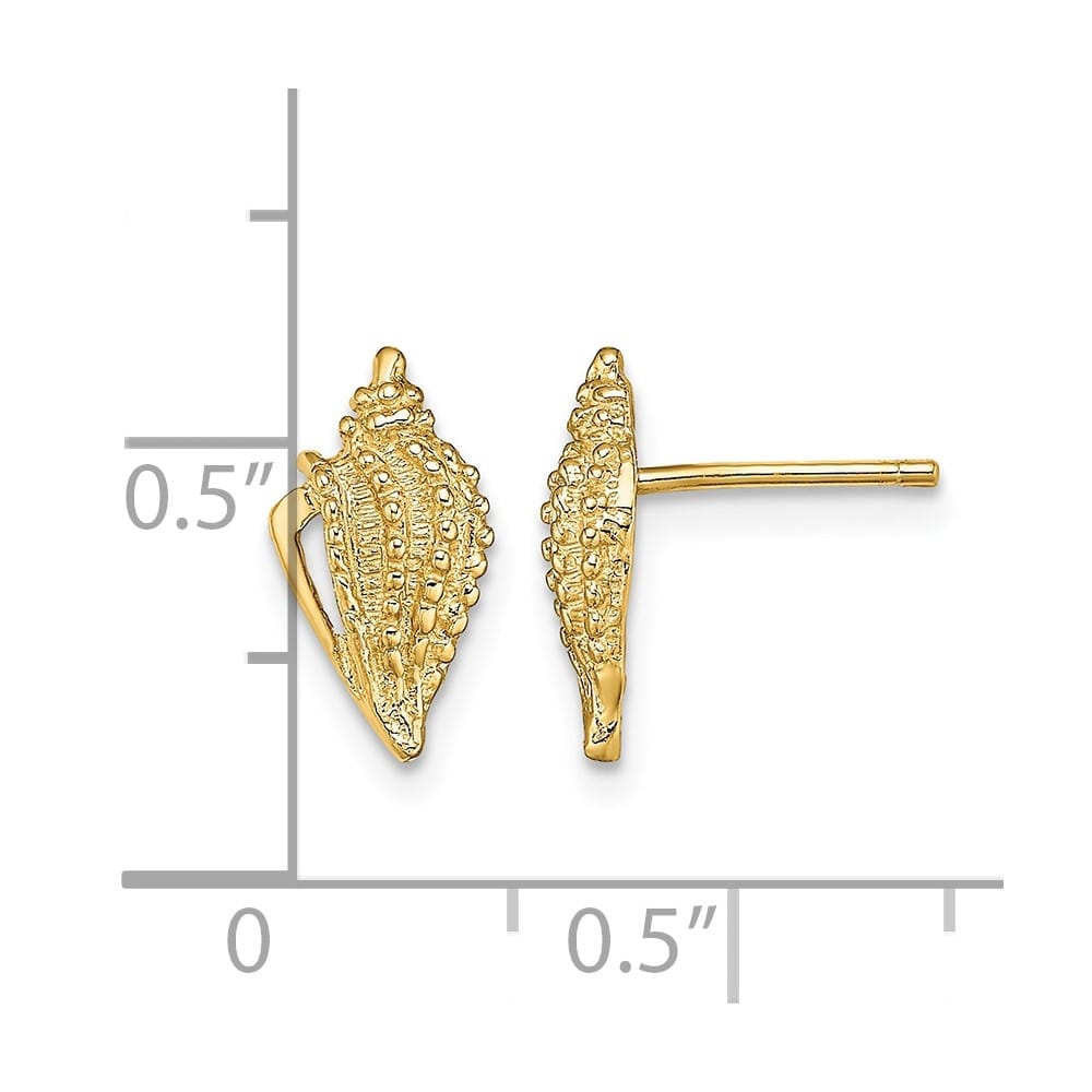 14K Yellow Gold Mini Conch Shell Post Earrings, view 4 of 4