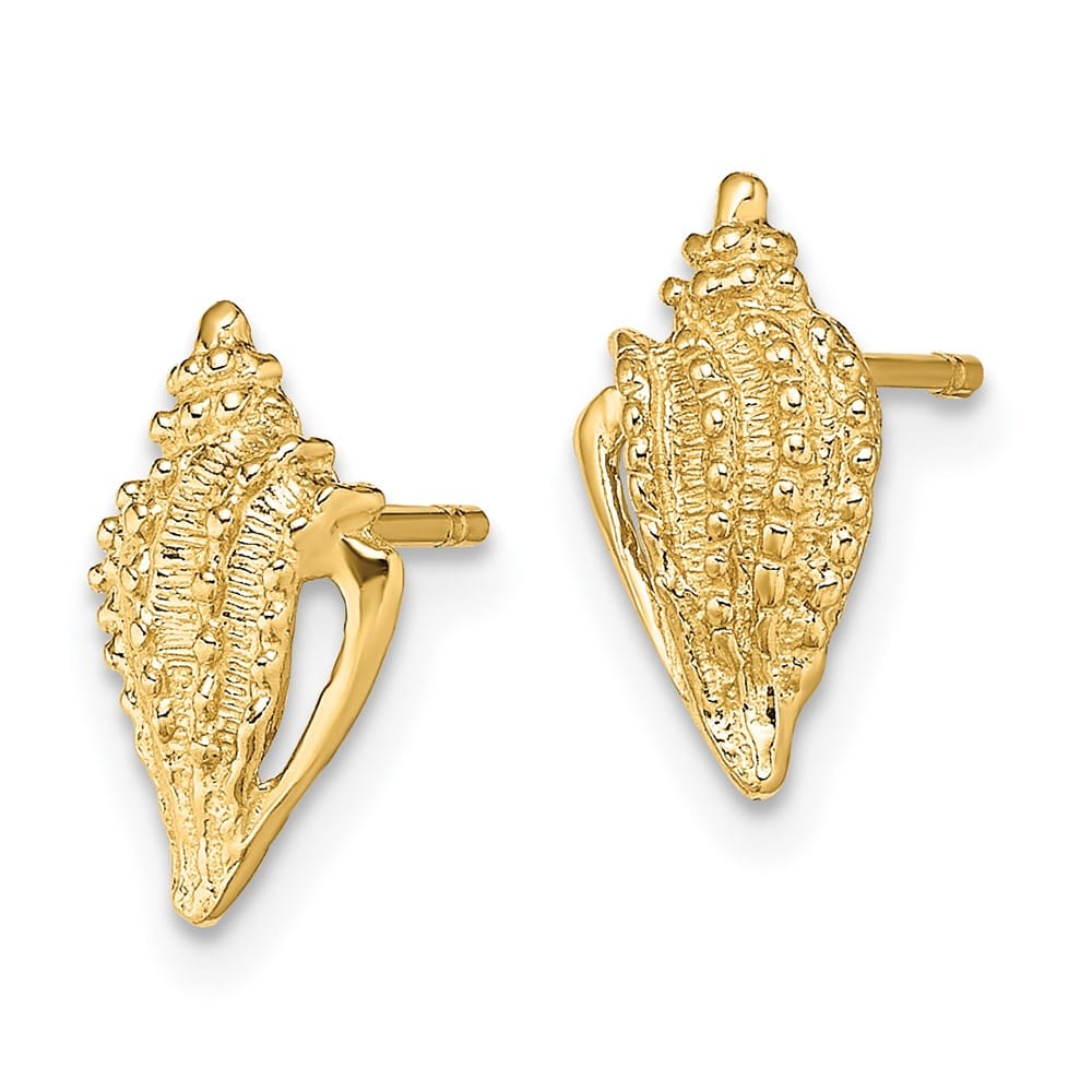 14K Yellow Gold Mini Conch Shell Post Earrings, view 2 of 4