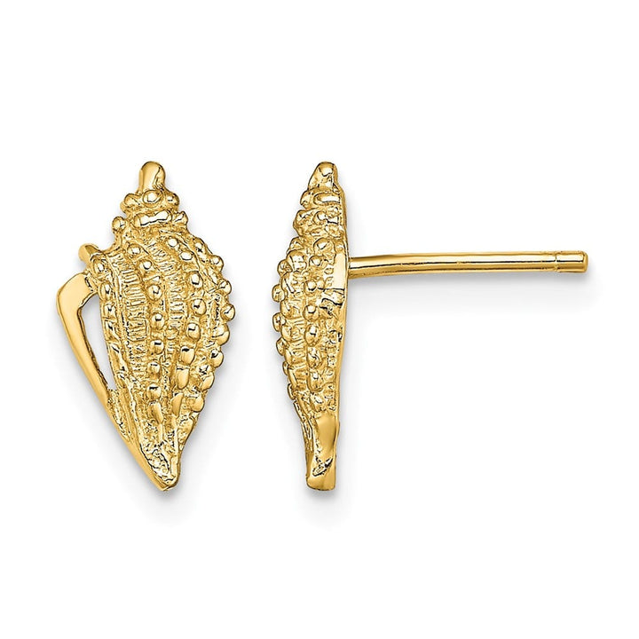 14K Yellow Gold Mini Conch Shell Post Earrings, view 1 of 4