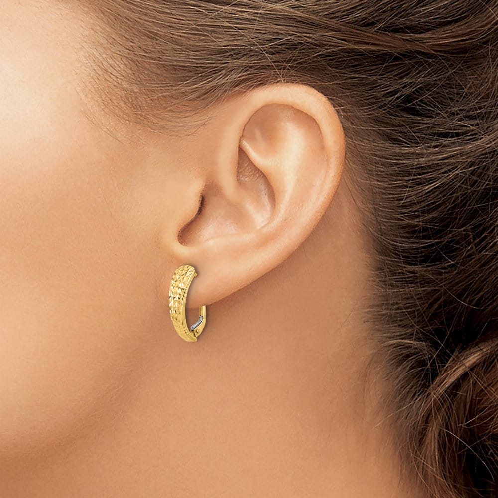 14K Yellow Gold Polished and D.C. Leverback Earrings, view 3 of 4