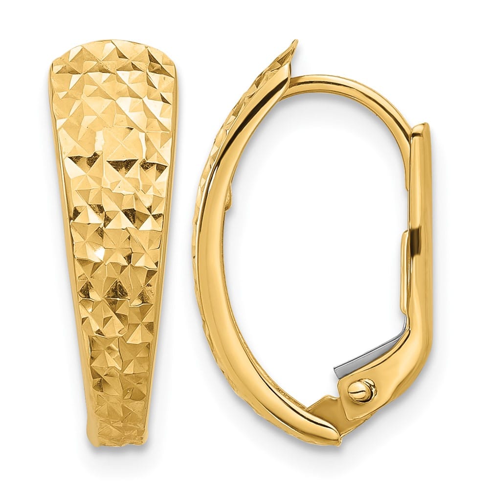 14K Yellow Gold Polished and D.C. Leverback Earrings, view 1 of 4