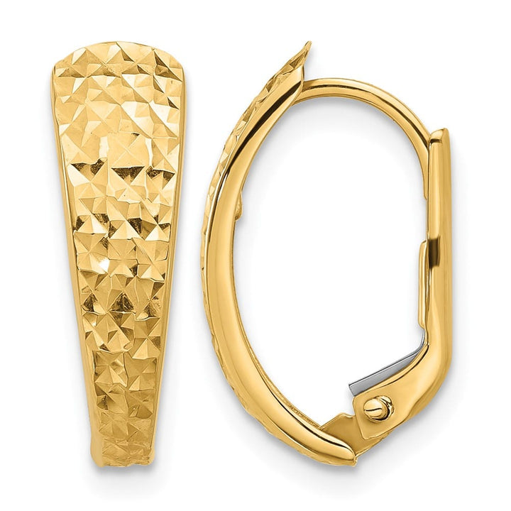 14K Yellow Gold Polished and D.C. Leverback Earrings, view 1 of 4