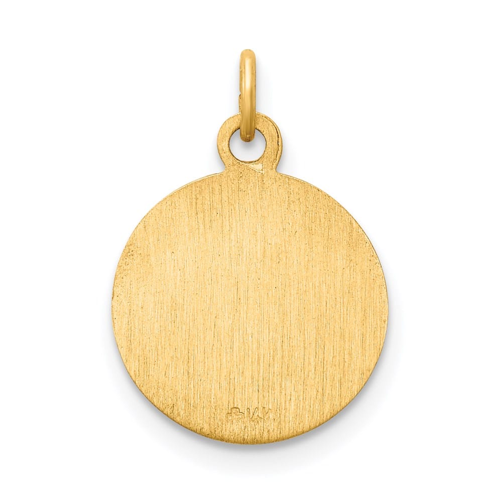 14K Yellow Gold Polished and Satin Solid St. Mark Round Medal