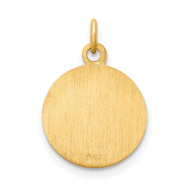 14K Yellow Gold Polished and Satin Solid St. Mark Round Medal