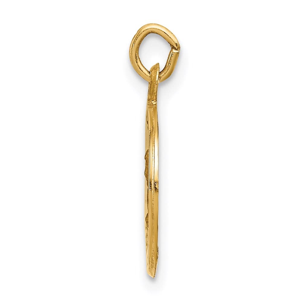 14K Yellow Gold Polished and Satin Solid St. Mark Round Medal