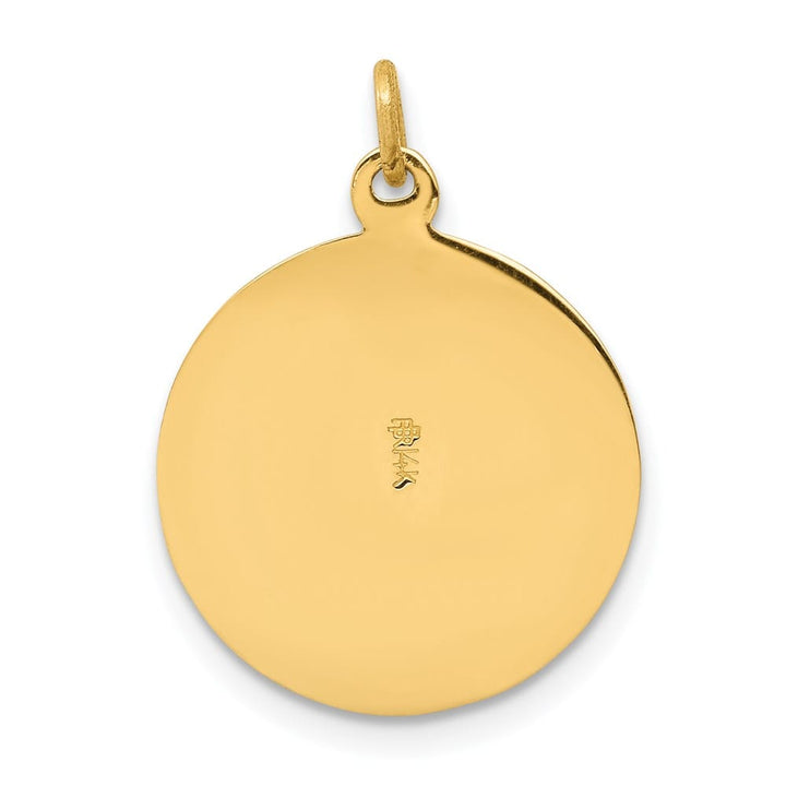 14K Yellow Gold Polished and Satin Solid St. Patrick Round Medal