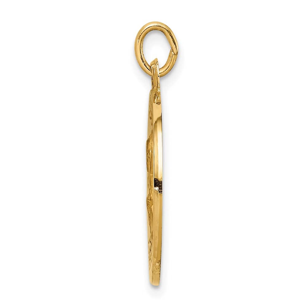 14K Yellow Gold Polished and Satin Solid St. Peter Round Medal