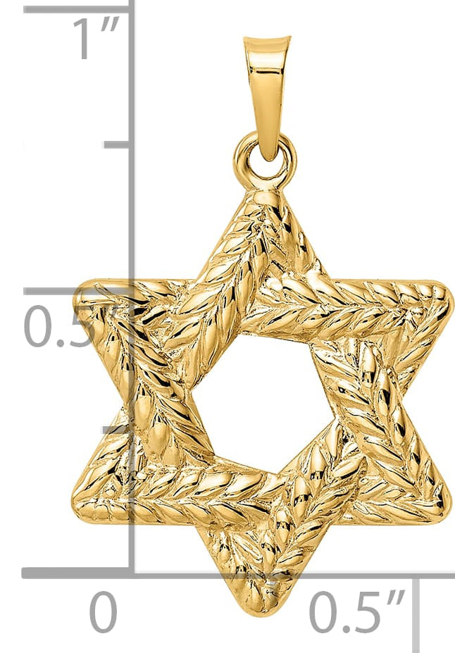 14K Yellow Gold Polished and Textured Solid Star of David Pendant