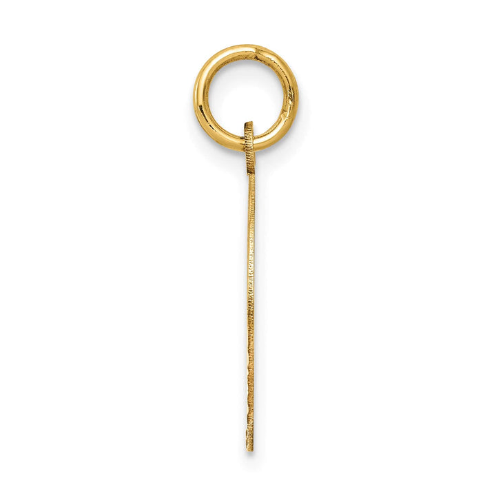 14K Yellow Gold Polished Confirmation with Dove Round Charm