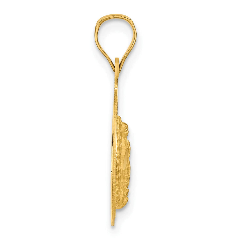 14K Yellow Gold Polished D.C. Our Lady Of Guadalupe Round Pendant