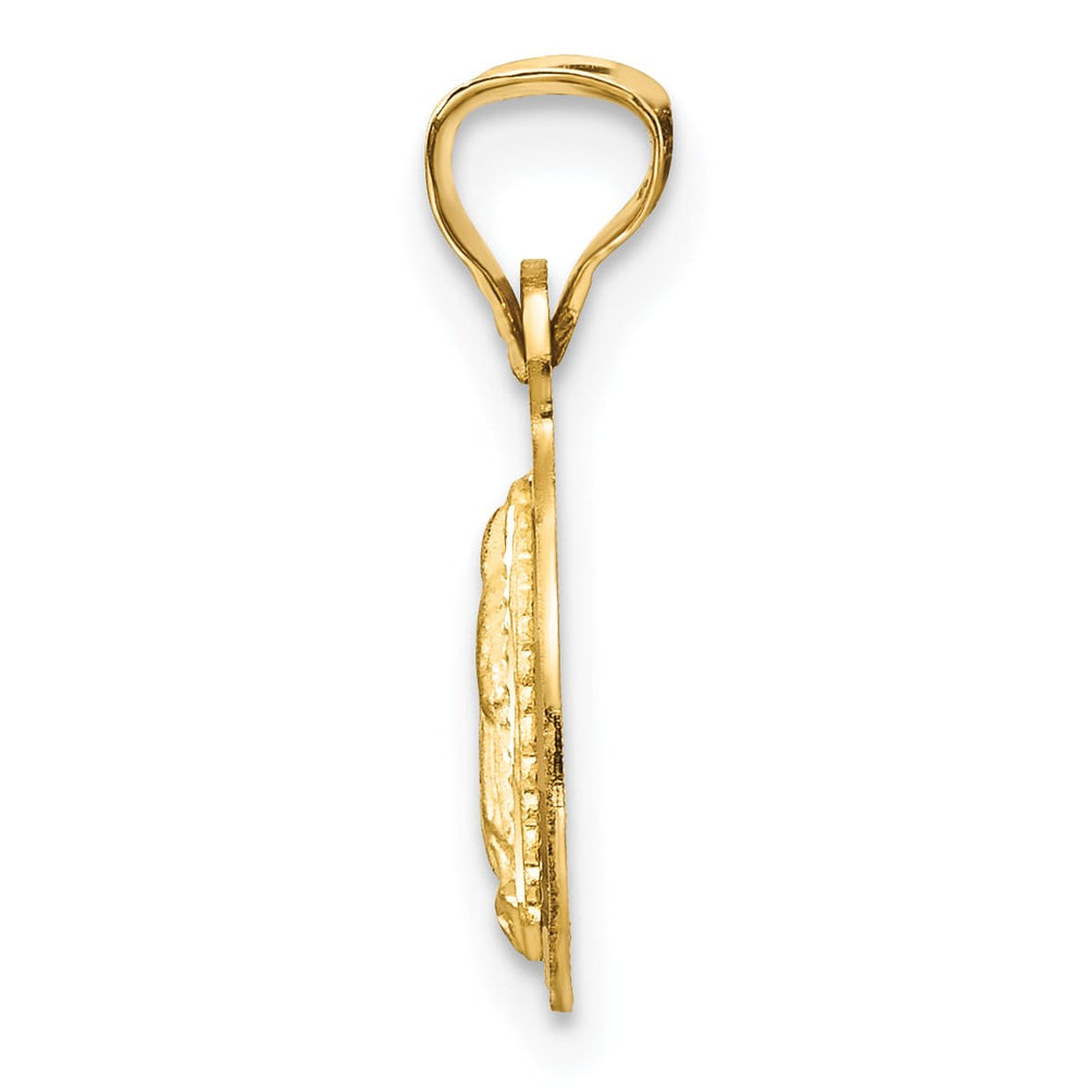 14K Yellow Gold Polished D.C. Our Lady Of Guadalupe Round Pendant