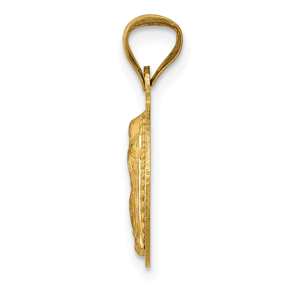 14K Yellow Gold Polished D.C. Our Lady Of Guadalupe Round Pendant