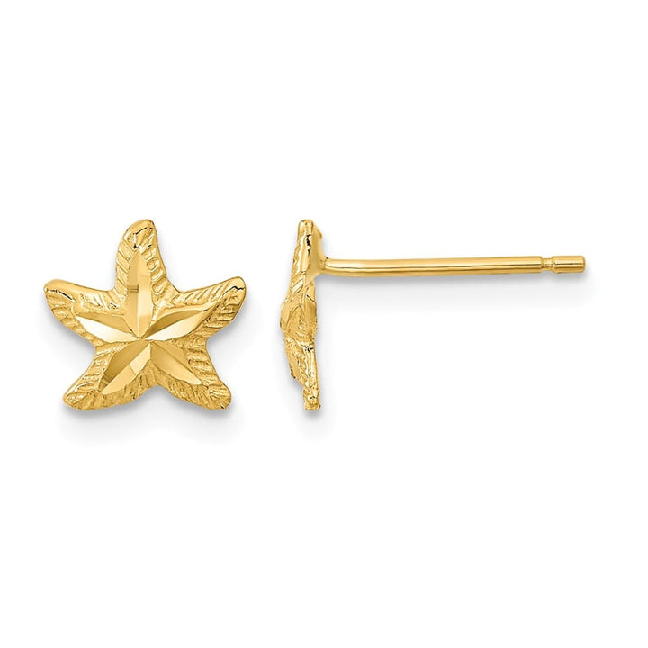 14K Yellow Gold Polished D.C. Starfish Post Earrings, view 1 of 4