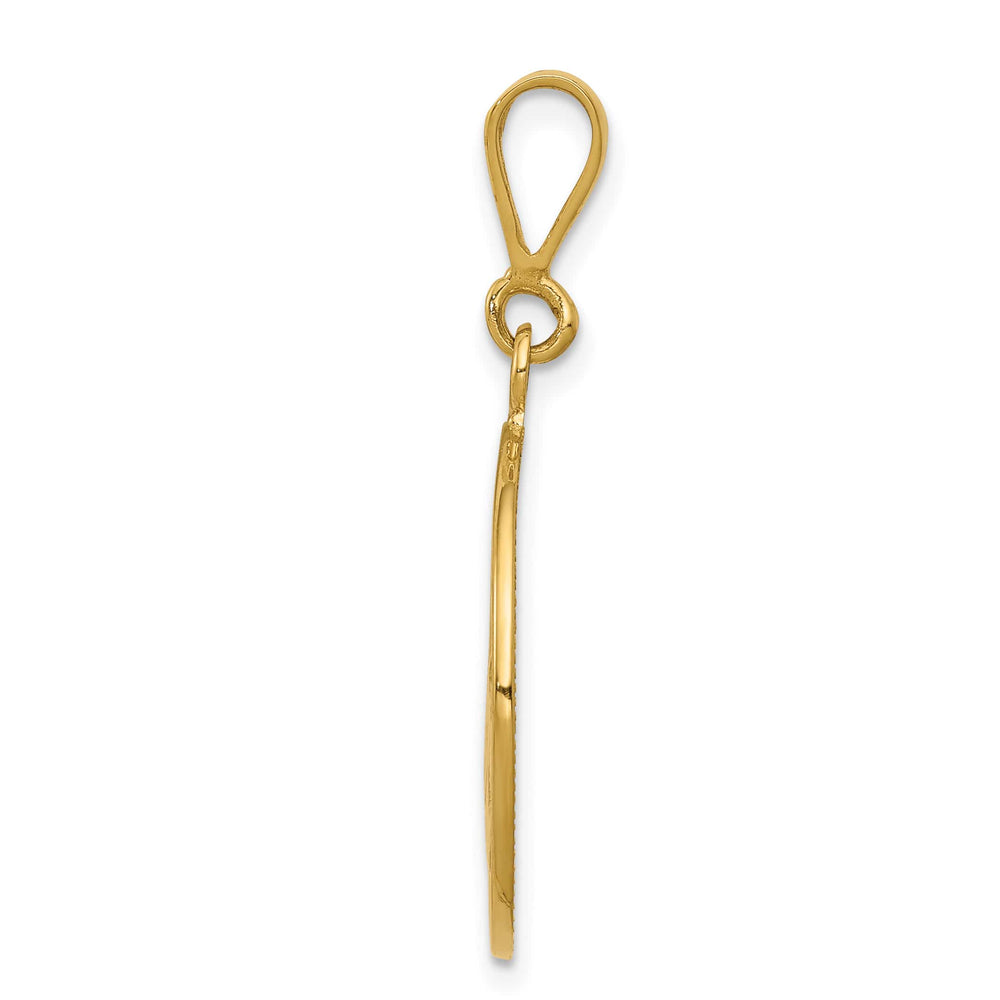 14K Yellow Gold Polished Satin Angel Round Pendant