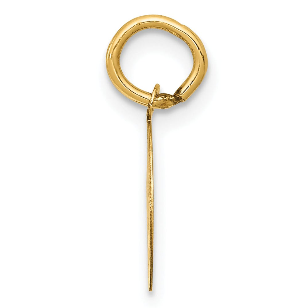 14K Yellow Gold Polished Satin Solid Holy Communion Round Disc Charm