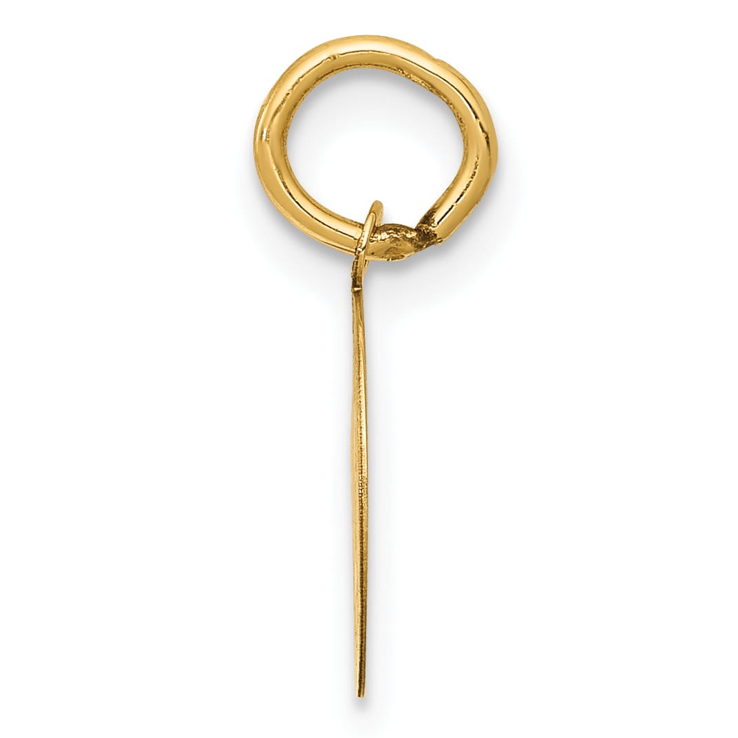 14K Yellow Gold Polished Satin Solid Holy Communion Round Disc Charm