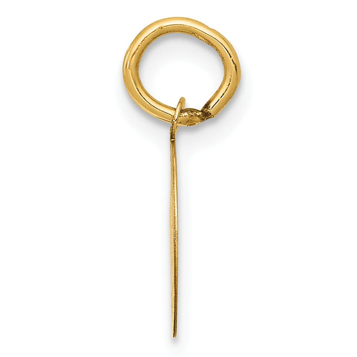 14K Yellow Gold Polished Satin Solid Holy Communion Round Disc Charm